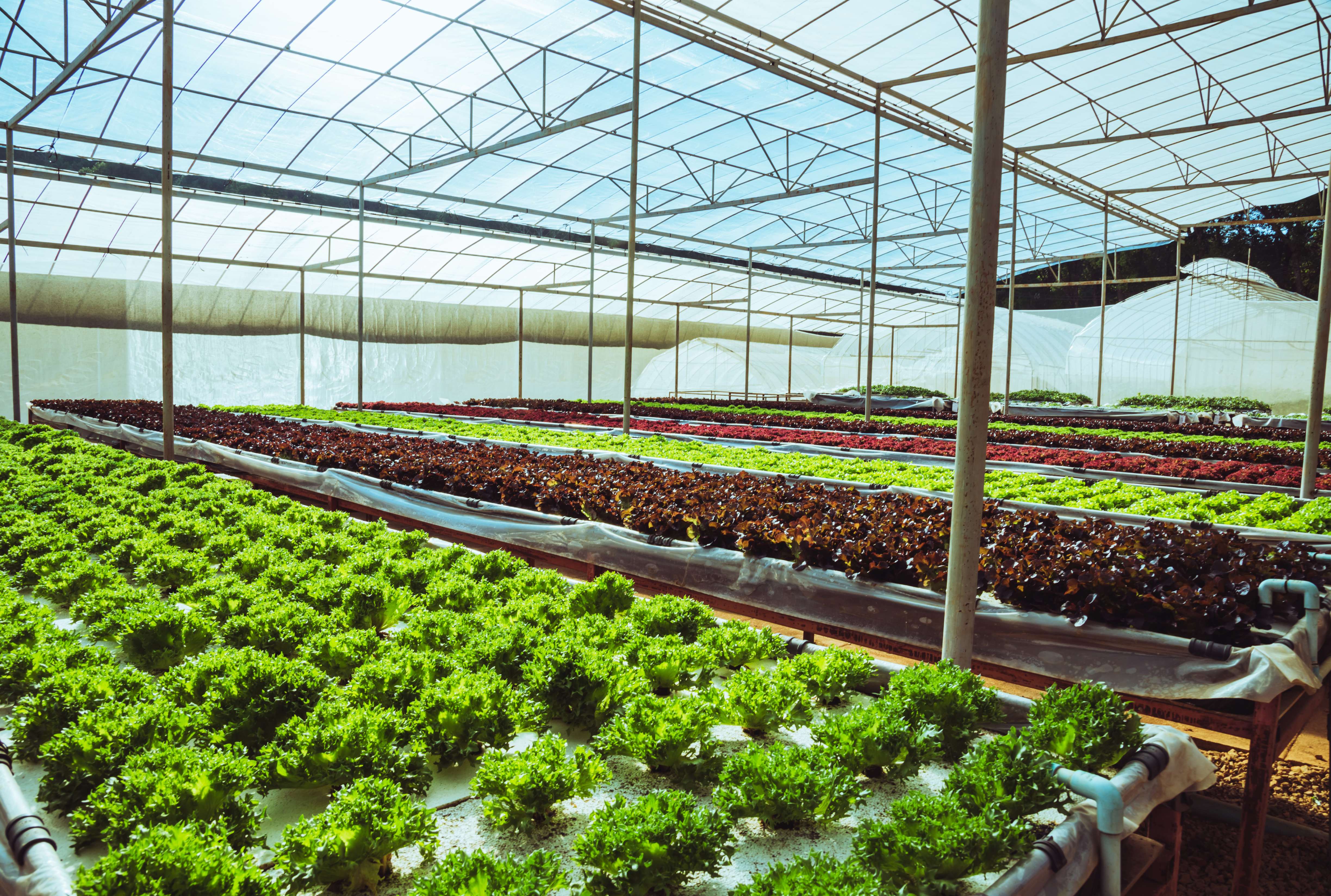 build your website image